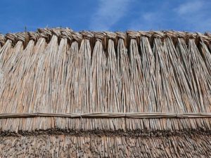 Thatched roof in Hungary. Image by Zyance