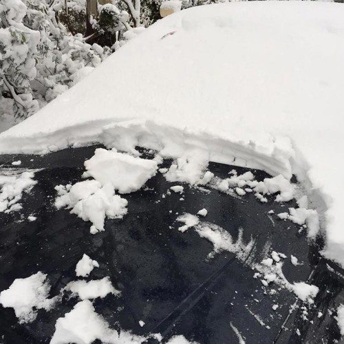 Look at how thick the snow was on my car.