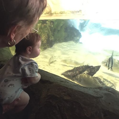 Nana and Alexander checking out the penguins