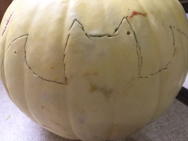 See the lines on the pumpkin is now in the shape of the bat that was on the stencil. The next step is to cut out the bat shape and reveal the bat so you can light it up for Halloween.