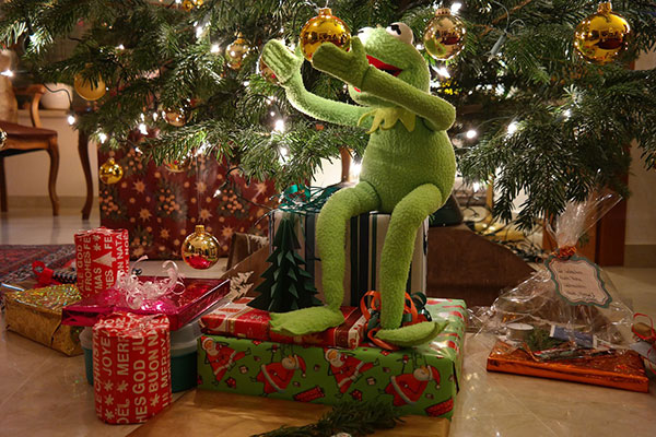Kermit helping decorate the tree for Christmas. He has done a great job don't you think?