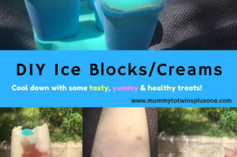 DIY Ice Cream or Ice Blocks