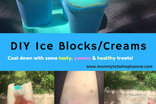 DIY Ice Cream or Ice Blocks