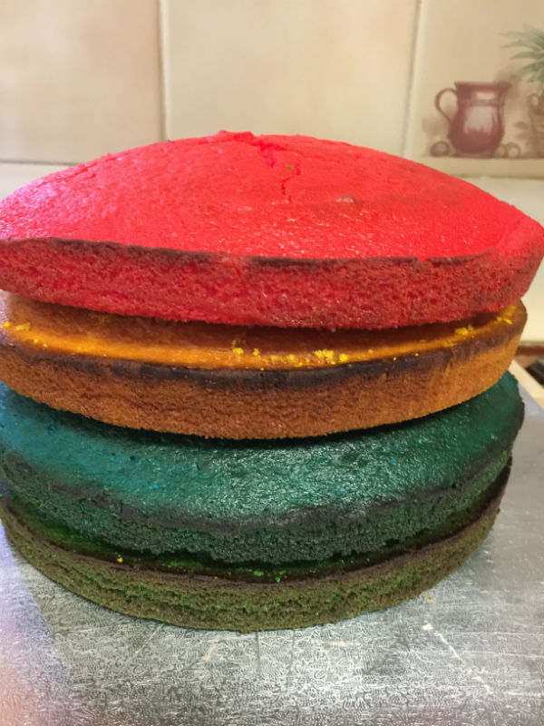The different coloured layers of the Harry Potter Cake. This is to show the different houses.
