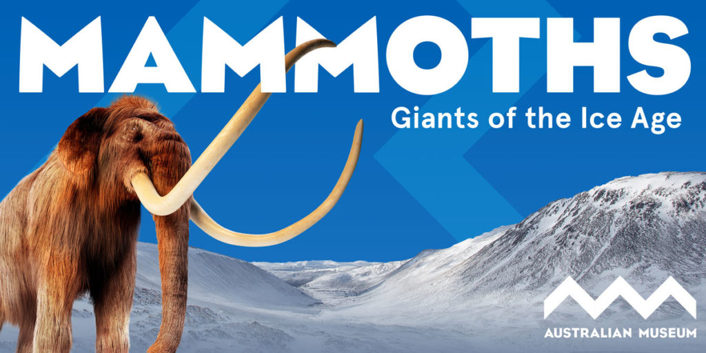 Book your ticket today to see the Mammoths - Giants of the Ice Age at the Australian Museum.