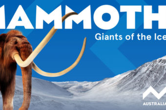 See Mammoths the Giants of the Ice Age