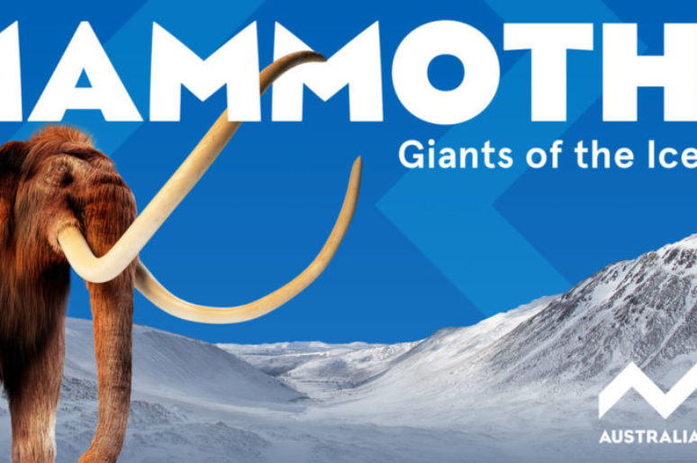 See Mammoths the Giants of the Ice Age