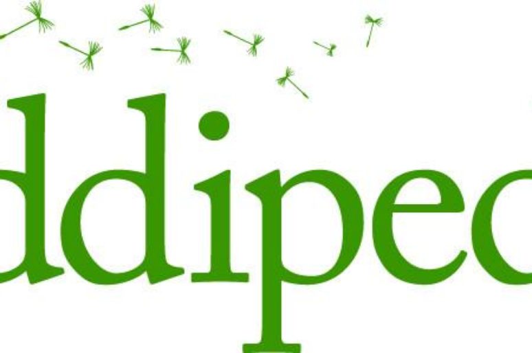 Partnership with Kiddipedia