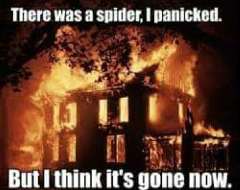 Thank goodness this didn't happen to my car..burning down the car/house due to a spider.