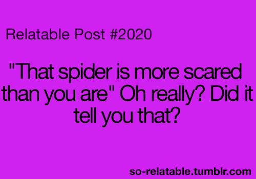 I don't think spiders are really scared of me..what about you?