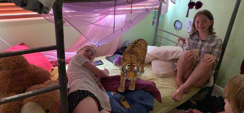 Our friendly tiger decided to visit the girl's room and hang out for a while.