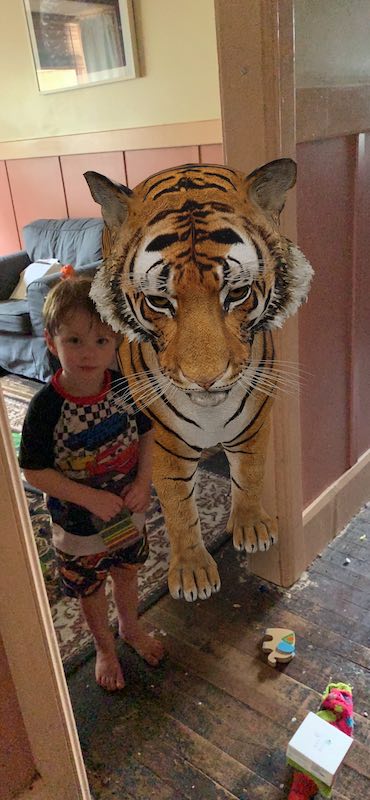 How about a selfie with a tiger? With Google 3D Animals you can have one too!